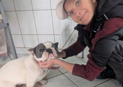 Hundephysiotherapie Checkup